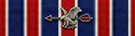 Silver Dollar Ribbon