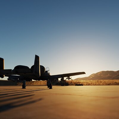 Green Flag 2026-001.jpg