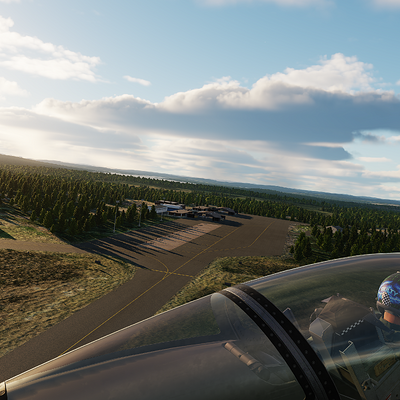 oof_ferry_flight_37.png